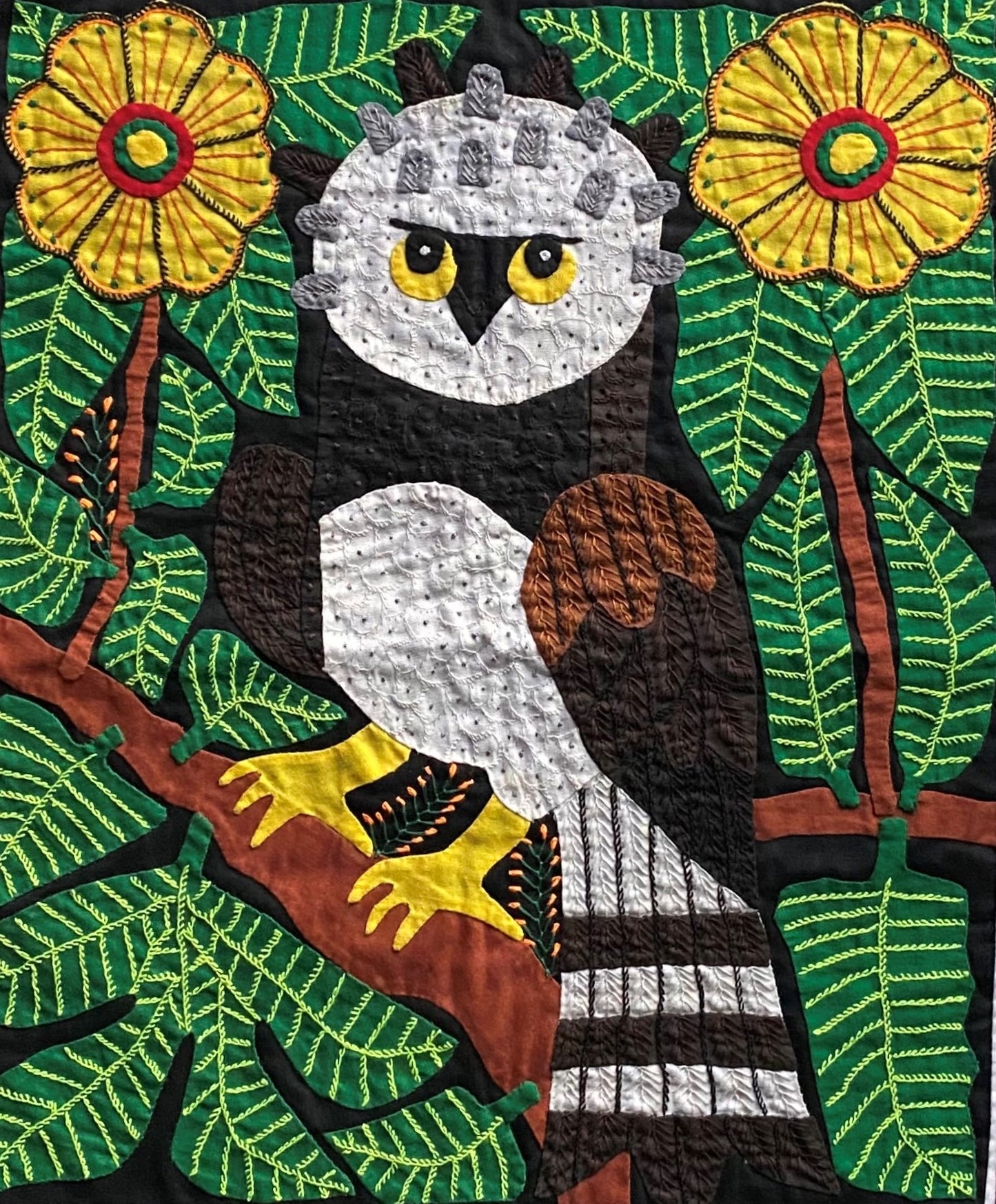 Harpy Eagle Panama Mola
