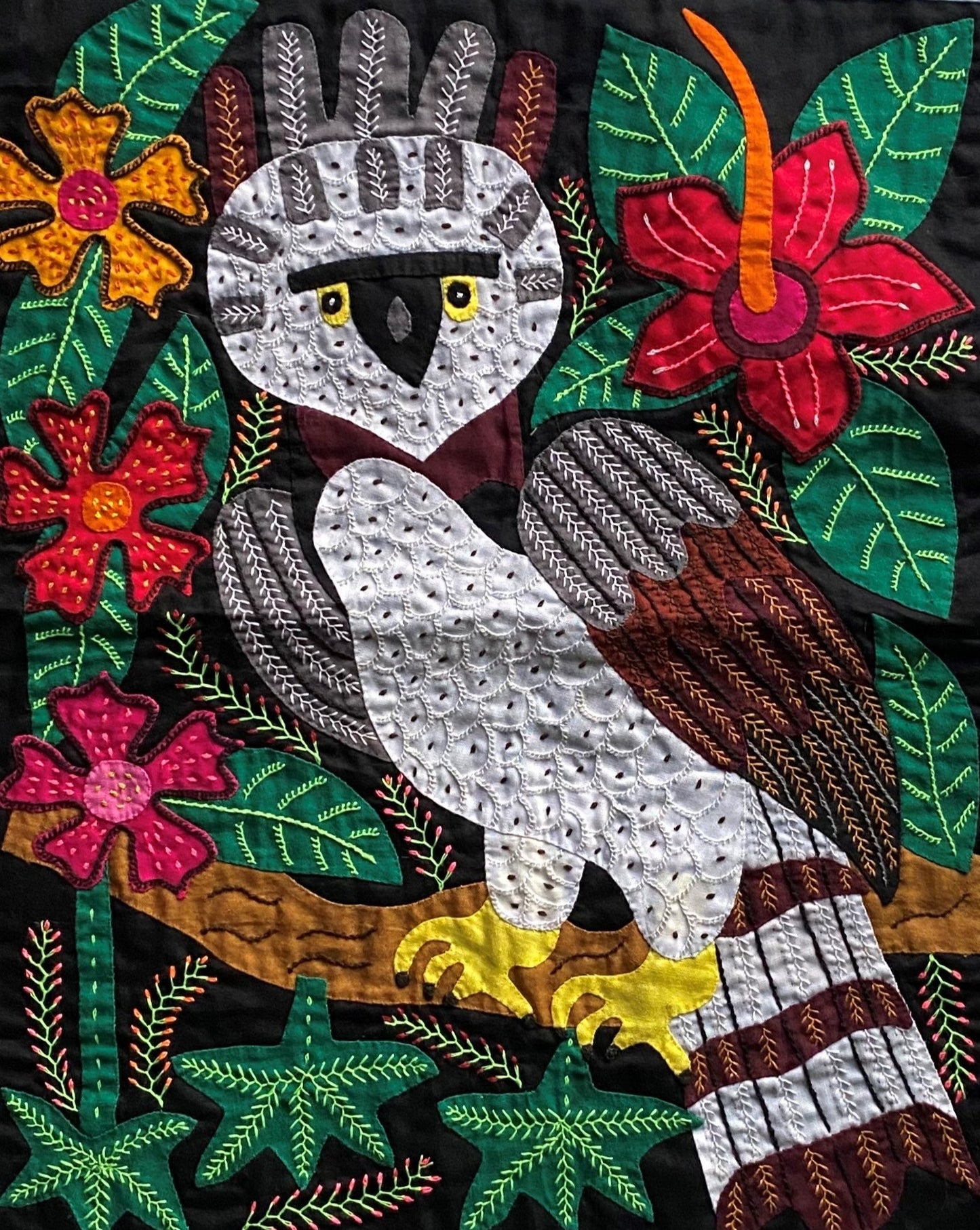Harpy Eagle Panama Mola