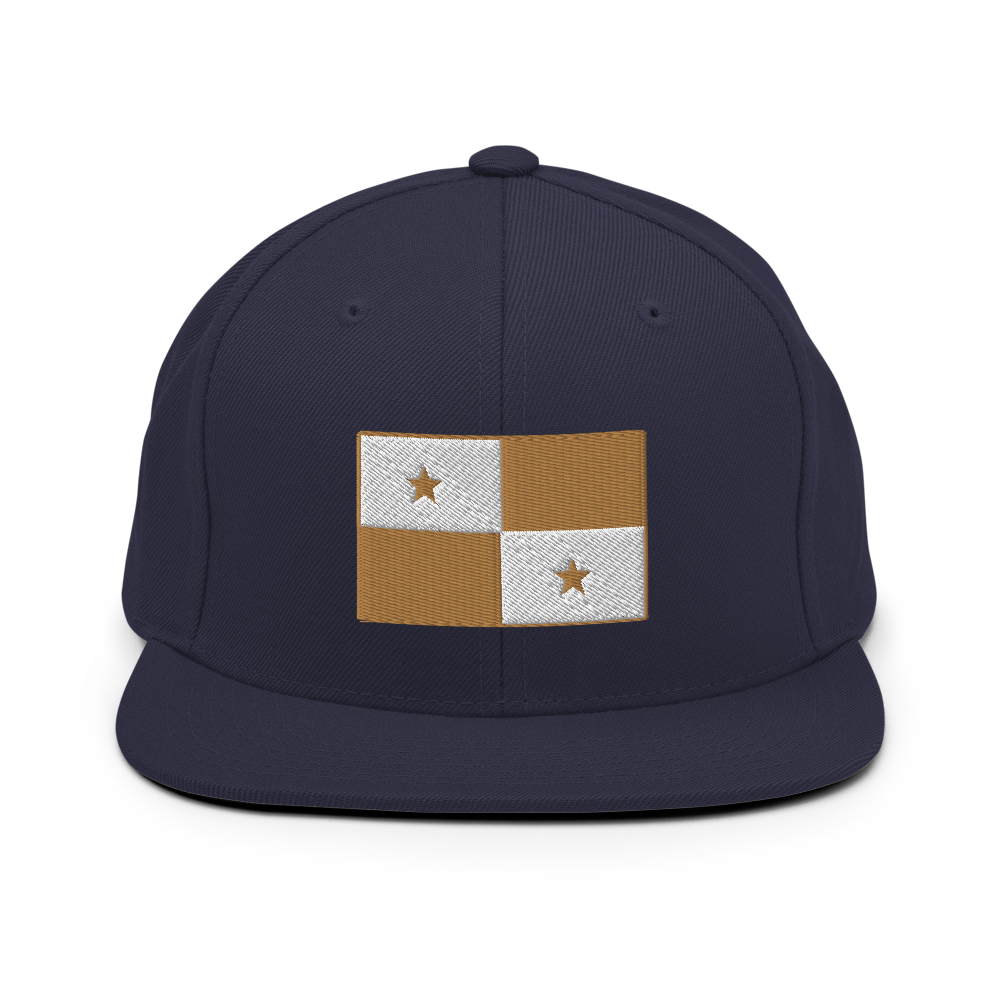 Panama Flag Snapback Hat