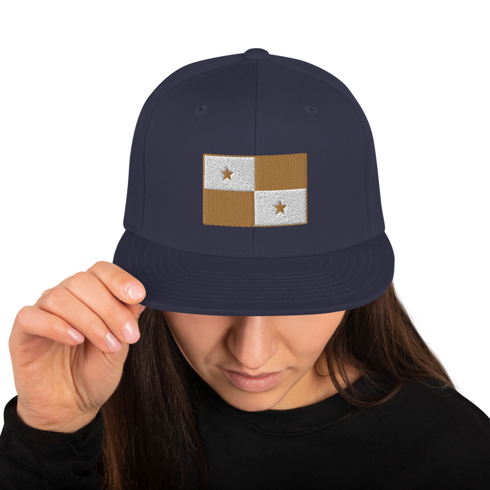 Panama Flag Snapback Hat