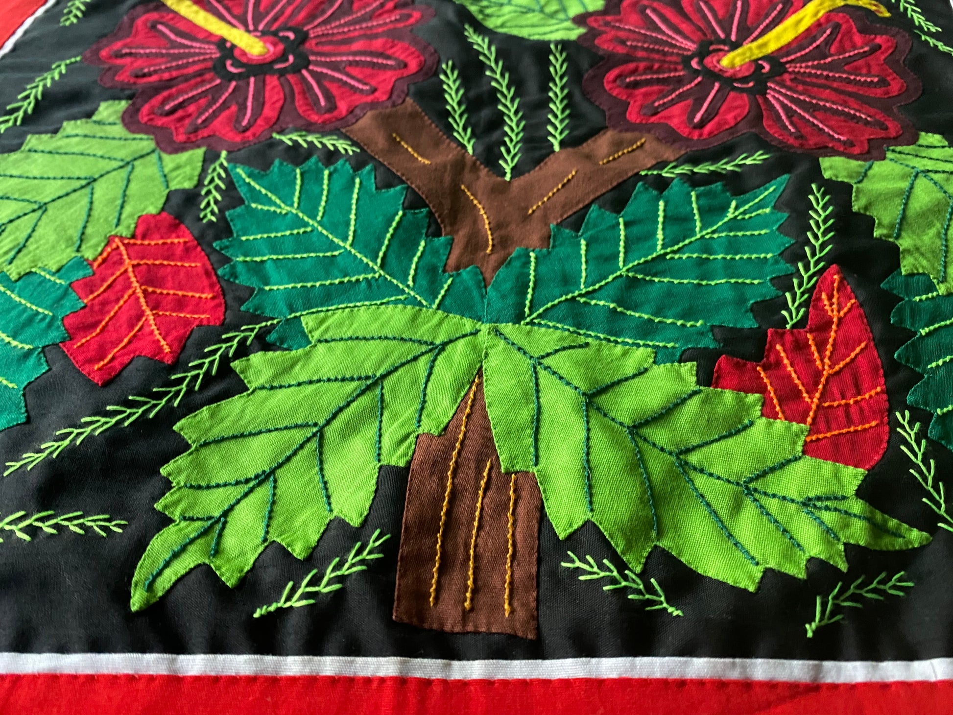 Panama Hibiscus Mola Close Up