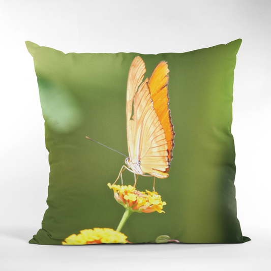 Panama Butterfly Pillow Cover